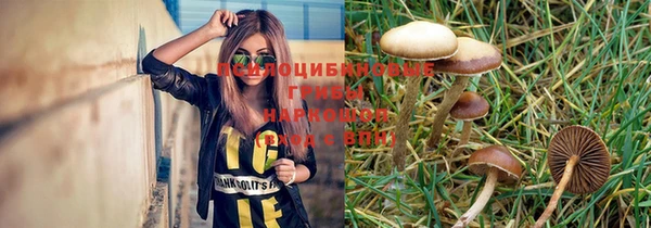2c-b Надым